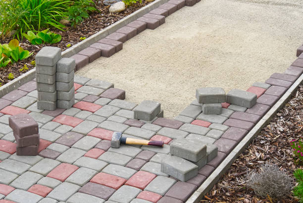 Best Affordable Driveway Paving  in Ripley, TN
