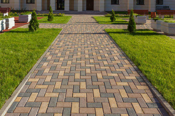 Best Commercial Driveway Pavers  in Ripley, TN